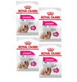 (€ 8,30/kg) Royal Canin Mini Exigent - für anspruchsvolle Hunde - 4 x 3 kg