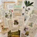 50+ Vintage Ephemera Buchseiten Set Kunst für Scrapbooking Junk Journal Basteln