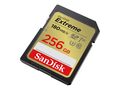 SDSDXVV-256G-GNCIN SanDisk Extreme Flash-Speicherkarte 256GB ~D~