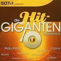 Die Hit Giganten - Sommerhits von Various | CD | Zustand akzeptabel