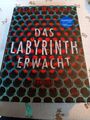 Das Labyrinth erwacht  von Rainer Wekwerth