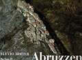 Abruzzen ohne Angabe Buch