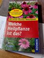 Welche Heilpflanze ist das? von Hensel, Wolfgang | Buch | Zustand gut