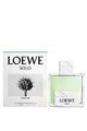 SOLO LOEWE ORIGAMI 100 ML  EAU DE TOILETTE POUR HOMME VERSION ORIGINAL