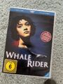 DVD Whale Rider