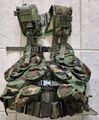 Taktische Weste US LBV 2 Woodland Tactical Load Bearing Vest