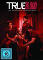 True Blood - Die komplette vierte Staffel [5 DVDs] von Mi... | DVD | Zustand gut