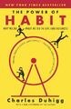 The Power of Habit - Charles Duhigg - 9780812981605 PORTOFREI - 9780812981605