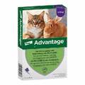 Advantage® 80 mg für große Katzen und Zierkaninchen · 4X0.8 ml · PZN 09670104