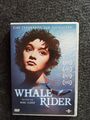 Whale Rider (DVD, 2002) sehr guter Zustand ! -3384-