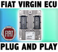  Fiat Panda ECU VIRGIN STECKER AND PLAY IAW 5SF8.M4 51868981 IAW5SF8M4