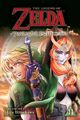 The Legend of Zelda: Twilight Princess, Vol. 11