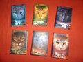 Warrior Cats Staffel 3 # Band 1-6 gebundene Bücher Die Macht der Drei  III kompl