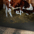 Cow Bed Matress GW4005 Stallmatte aus Gummi - wasserbeständig & rutschfest