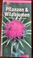 Pflanzen und Wildblumen erkennen & bestimmen: Wegwe... | Buch | Zustand sehr gut