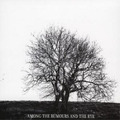 Viner, MR David Among the Rumours and the Rye (CD) Album