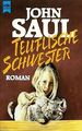 Teuflische Schwester von Saul, John | Buch | Zustand akzeptabel