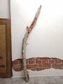 Treibholz Ast 139cm, Schwemmholz Deko, Garderobe, Holz Terrarium, Makramee Zweig