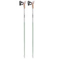 Leki Passion Nordic Walking Stöcke green-white-anthracite