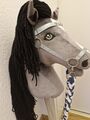  Hobby Horse /Steckenpferd/Hobby Horsing