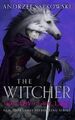 Andrzej Sapkowski The Lady of the Lake (Gebundene Ausgabe) Witcher (US IMPORT)