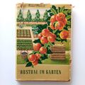 Obstbau im Garten, Obst Gartenbau, 1959 Vanicek, Landwirtschaftsverlag DDR