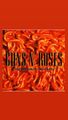 Guns N' Roses - The Spaghetti Incident (CD) NEU