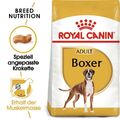 ROYAL CANIN Boxer Adult Hundefutter trocken 24 kg (2 x 12 kg)