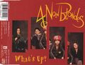 4 Non Blondes - What's Up  (4 Track Maxi CD)