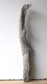 Treibholz Schwemmholz Driftwood  1  Ast  Garderobe  Dekoration 61 cm