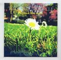 (KK964) Tess Of The Circle, No Place Like Home - 1 Track - 2014 DJ CD