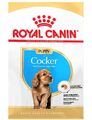 € 12,32/kg) Royal Canin Cocker Puppy - Futter für Cocker-Welpen - 3 kg