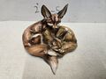 Tay Italy Desert Fennec Füchse Fuchs Figur von Giuseppe Tagliariol