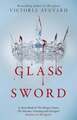 Glass Sword / Red Queen 2