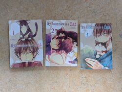 My Roommate is a Cat Manga Band 1-3