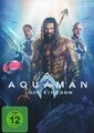 Aquaman 2 - Lost Kingdom (DVD)