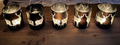 große Windlichthalter Teelicht Kerzen Glas Hirsch braun 5 Stück