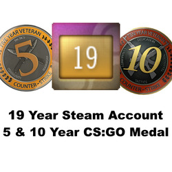 19 Year Steam Account with the Login Name "choppa hoe" | 5 & 10 Year CS:GO Medal