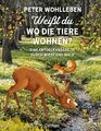 Weißt du, wo die Tiere wohnen? Peter Wohlleben