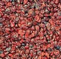 Cranberries getrocknet 1 kg Cranberry gesüßt saftig lecker feinste Qualität 