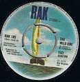 Suzi Quatro - The Wild One / Shake My Sugar - 7" Vinyl - RAK - 1974