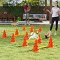 PawHut Agility Set Hunde 6-teiliges Agility-Ausrüstung für Hundetraining