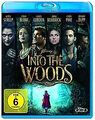 Into the Woods [Blu-ray] von Marshall, Rob | DVD | Zustand sehr gut