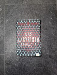 Das Labyrinth erwacht (1) von Rainer Wekwerth (2015, Taschenbuch)