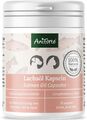 Aniforte Omega-3 Lachsöl Kapseln 200 Stück für Hunde und Katzen, Haut-& Fell