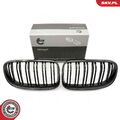 ESEN SKV 66SKV119 Kühlergrill Frontgrill für BMW 3 Coupe (E92) 3 Cabrio (E93)