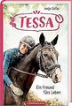Tessa (Bd. 3): Ein Freund fürs Leben von Szillat, Antje | Buch | Zustand gut