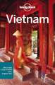 Lonely Planet Reiseführer Vietnam Stewart, Iain Buch