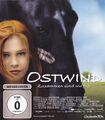 Ostwind 1 (Blu-ray - gebraucht: gut)