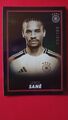 Panini DFB Team Set Leroy Sane /199 Focus on the game